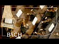Bach - Orchestral Suite No. 1 in C major BWV 1066 - Sato | Netherlands Bach Society