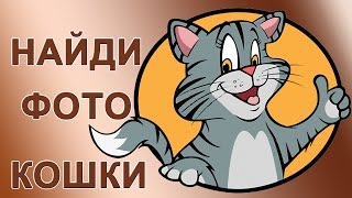 Кошки | Кошки в живописи | Сколько здесь фотографий кошек? Кошки | Кошки в живописи | Сколько здесь фотографий кошек?
