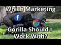 Facebook vs AdWords: What’s Right for Your Business?
