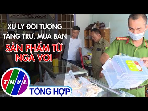 Video Xử lý đối tượng tàng trữ, mua bán sản phẩm làm từ ngà... - youtube