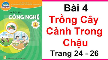 Vở Bài Tập Công Nghệ Lớp 4 Bài 4 | Trồng Cây Cảnh Trong Chậu | Trang 29 - 34 | Chân Trời Sáng Tạo