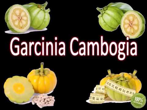 Video: 29 Dingen Die U Niet Wist Over Garcinia Cambogia