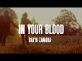 Shaya Zamora - In your Blood ( Lyrics )