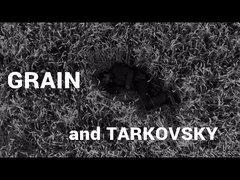The Tarkovsky Reflections on Semih Kaplanoglu and Grain (2017)