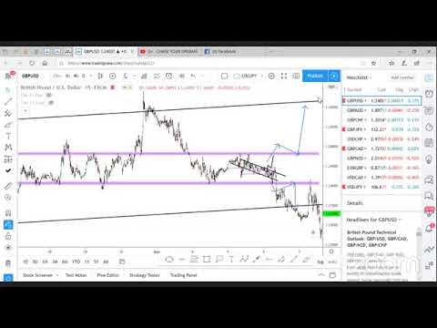 Mentor dr kathy kirkland forex