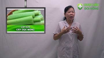 DƯỢC LIỆU ĐỜI SỐNG - TẬP 04 - LỢI ÍCH CÂY DỌC MÙNG