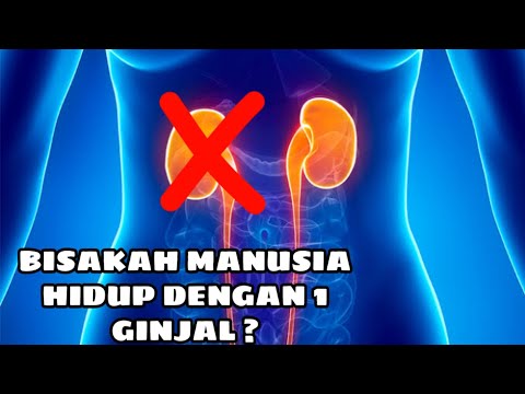 Video: Perawatan Kesehatan dan Dampak Pasar