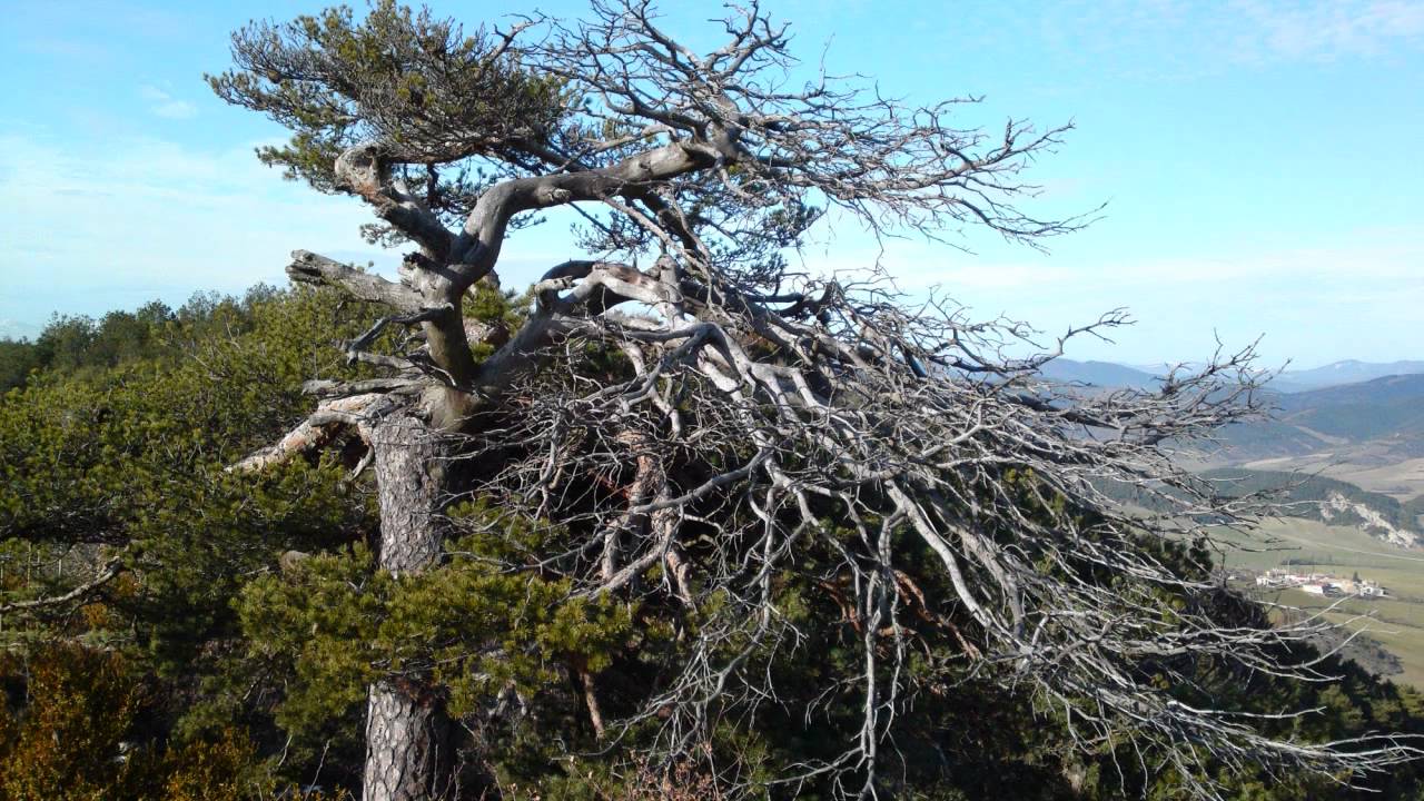 Montes del Valle de Aranguren.Desde Lakidain hasta Egües