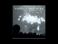 Pernice Brothers - Blinded by the Stars