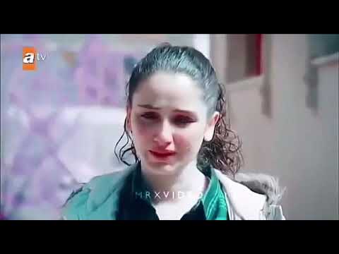 اغنية الدنيا الكاذبة على الازهار الحزينة مترجمة