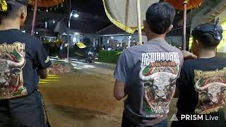 GAYATRI ROJO KOYO FEAT RISWANDA PRO AUDIO. LIVE KAMBINGAN TUMPANG. MALAM