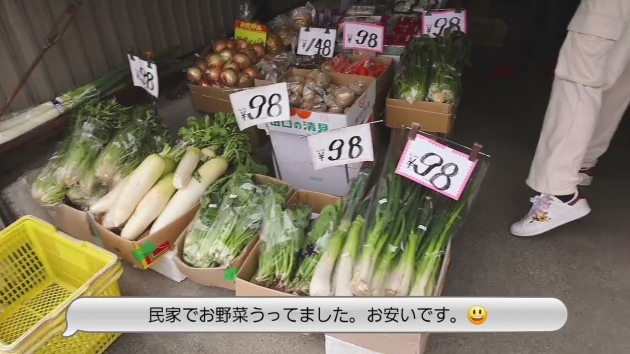 近江八幡を散策とお昼ごはん😋✨
