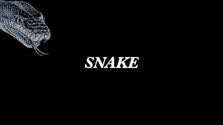 Snake - Nicole Dollanganger (Lyrics)