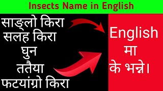 Word Meaning English to Nepali/English to Nepali word meaning/English speaking with Nepali meaning/