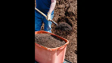 Did someone say...free?? Gardening on the Cheap - Part 1: FREE and Inexpensive Compost