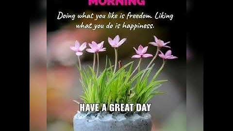 Good Morning Wishes.