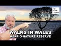 Another GREAT Walk In Wales - Kenfig Nature Reserve (Dunes, A Castle And A Buried Town)