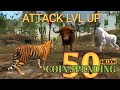 The tiger  50 million coin spending   attack level up 