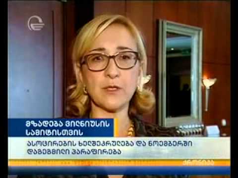 მზადება ვილნიუსის სამიტისთვის