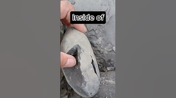 Ammonite Fossil revealed inside cracked open Rock! 🪨🔨👀 #fossilhunting #fossils #shorts #coast #rock