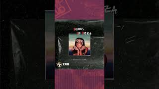 Sos Sounds Of Sizza &Bloops Ynk Audio