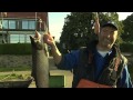 Ostseefjord Schlei - Ihr Urlaubsparadies an der Ostsee