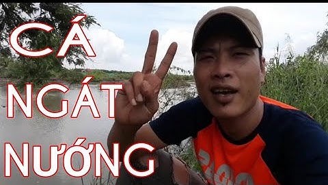 Cá Ngát Nướng Quá Ngon..MIỀN TÂY QUÊ HƯƠNG TÔI 1988..