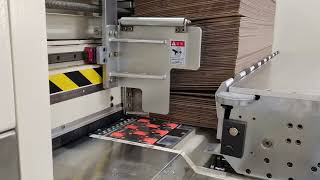 Dinglong #FLEXO