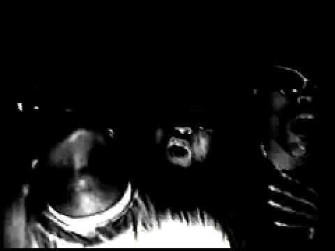 DuvelDuvel - aap-o-trailer( tisleukgeweest )