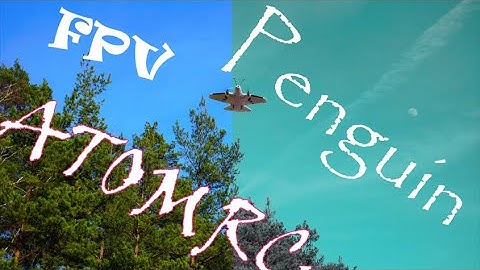 FPV ATOMRC Penguin | 4K