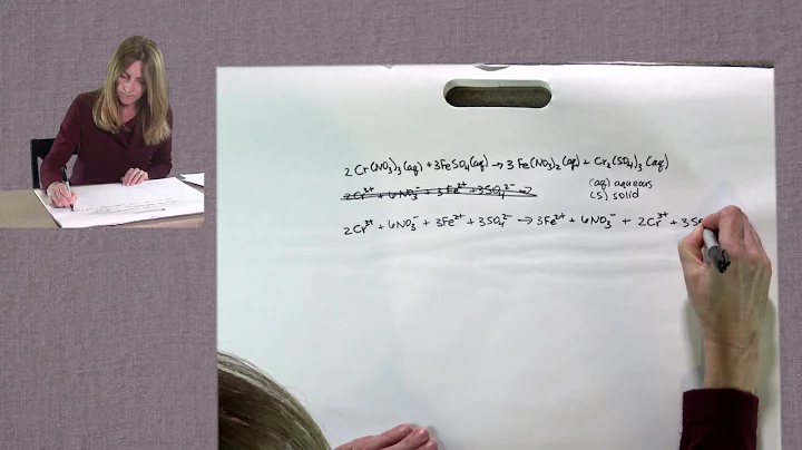 Jennifer Waldner discusses another Net Ionic Equat...