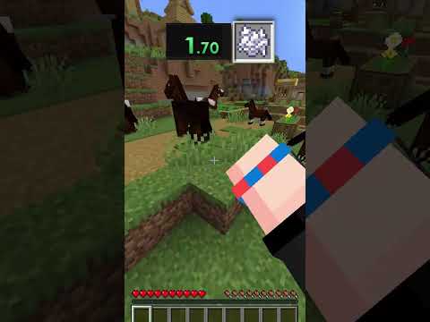 Minecraft Eşya Speedrun 6  #minecraft  #speedrun