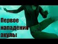 Отмель 2016. Встреча с мертвым китом и первое нападение АКУЛЫ.