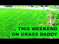 This Weekend on Grass Daddy