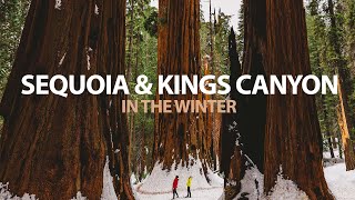 ULTIMATE WINTER SEQUOIA AND KINGS CANYON NATIONAL PARK TRAVEL GUIDE | Hikes, What to Bring, Closures