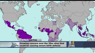 Zika Virus Could Be Causing Severe Birth Defects