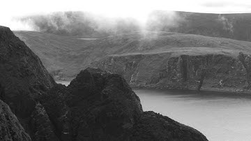 Dailiv - Signal From Space