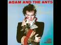 Adam ant  mowhok and sex