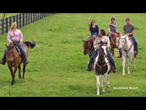 12 Great Places to Go in Plano, TX - YouTube