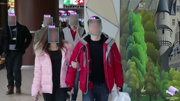 Face Detection Using YOLOv5 | Privacy Face Blur | Computer Vision | Online Store