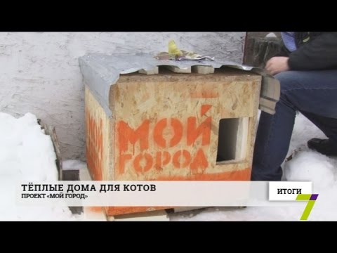 В Одессе установили тёплые домики для котов