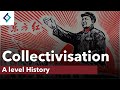 Collectivisation | Mao&#39;s China | A Level History