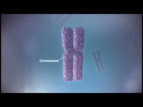 Thumbnail video