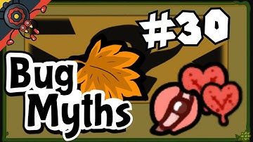 Bug Fables Myth #30: Heal? Plus???