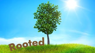 Rooted in Christ: The Source of True Fruitfulness