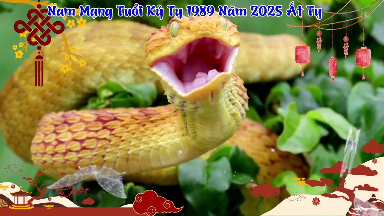 Tử Vi Tuổi Tỵ 1989 Nam Mạng - Khám Phá Vận Mệnh và Cuộc Đời