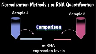 Download lagu Normalization Methods of miRNA Quantification | How To Quantify miRNA |
