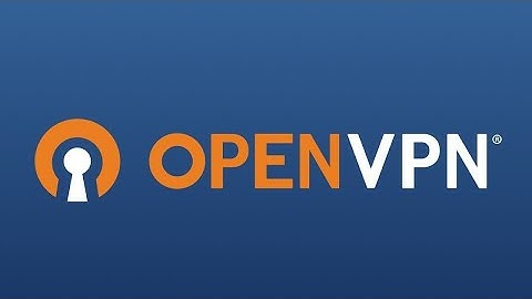 latest OpenVPN Settings 2022 for netone Zimbabwe