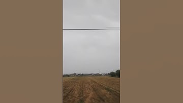 سورة الفيل للقارئ الشيخ حازم خليل غريب برواية قنبل عن ابن كثير المكي #corano