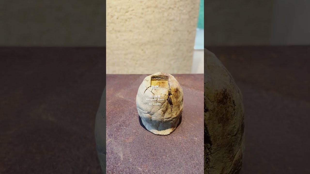 現代中国篆刻芸術/費新我/高式熊作品・単暁天作品・沈覚初作品